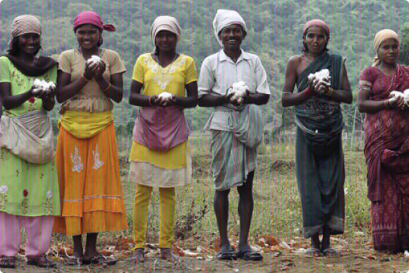 cotton farmers